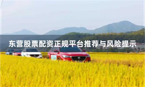东营股票配资正规平台推荐与风险提示